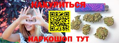 гидропоника Новозыбков