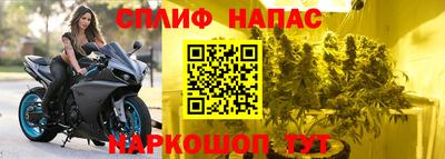 гидропоника Новозыбков