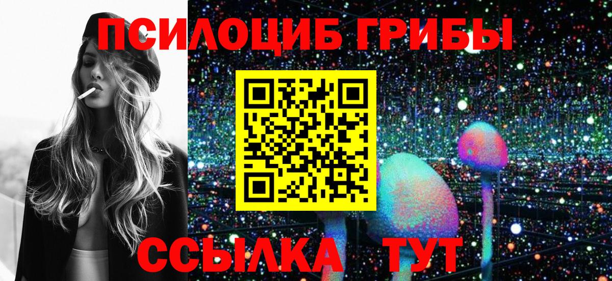 Саров  Псилоцибиновые грибы Psilocybe  Вход с VPN 