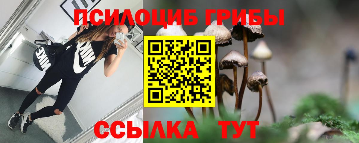 Псилоцибиновые грибы MAGIC MUSHROOMS Саров