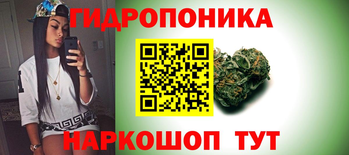 Шишки марихуана OG Kush Саров